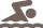 icon for Swimming