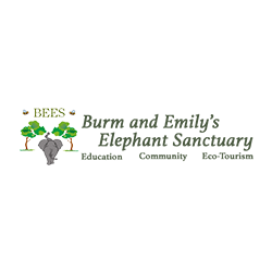 BEES Logo 2