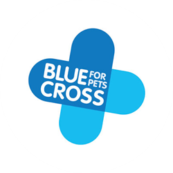 Blue Cross